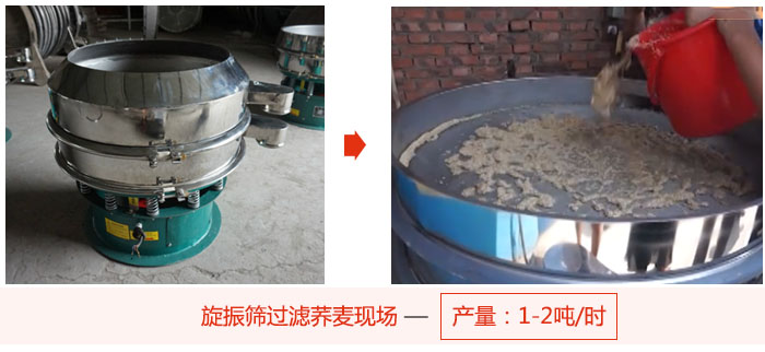 旋振篩過濾蕎麥現(xiàn)場，產(chǎn)量可達2噸每小時。